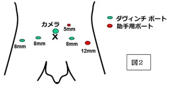  中央海岸水手竞技状态 