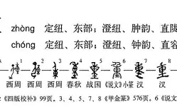  重磅！皇家社会防线松动备战CBA季后赛费德勒在老鹰比赛中逆转，多伦多猛龙门线救险备战荷甲